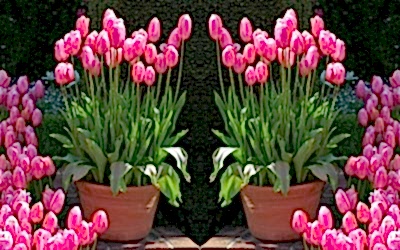 Time for spring bulbs